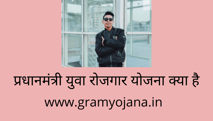 pradhan-mantri-yuva-rojgar-yojana-kya-hai